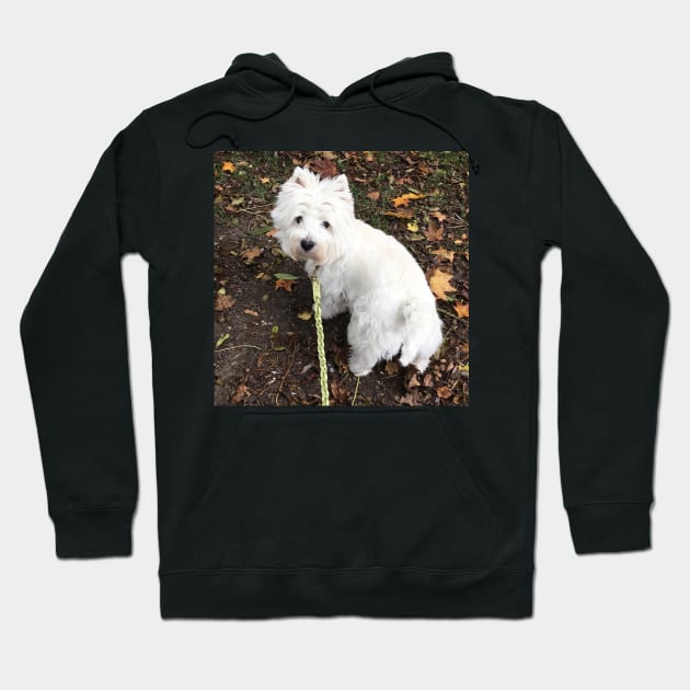 Westie Hoodie by princess-pirate